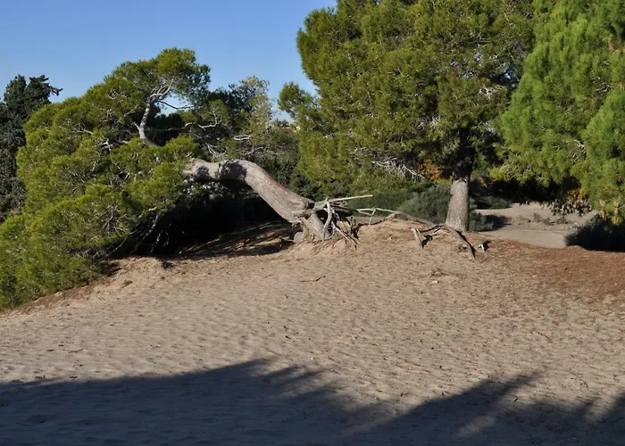 Tatil Evi Costahispania 308