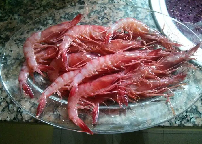 Costahispania 308 Gran Alacant