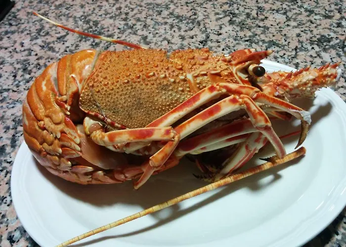 Costahispania 308 Tatil Evi *